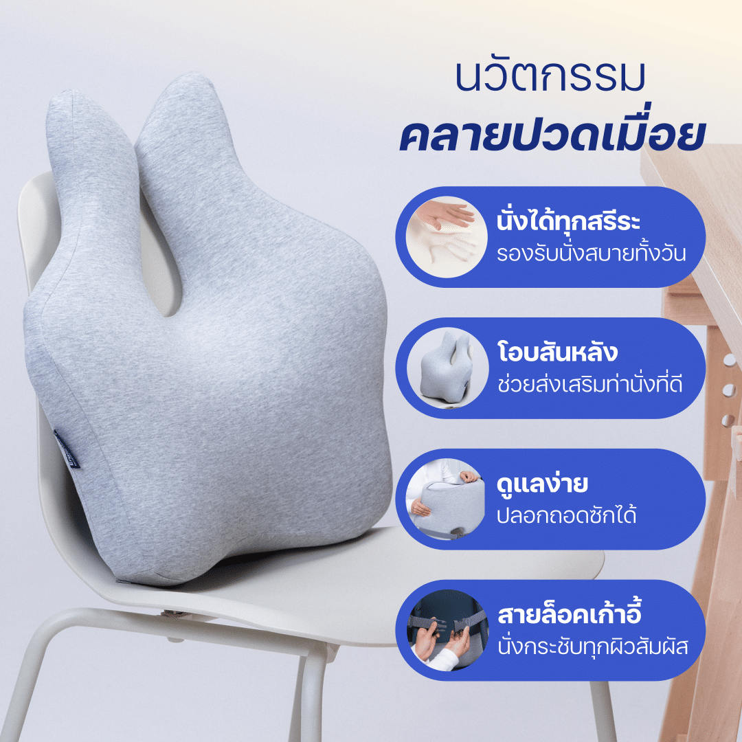 เบาะรองหลัง ERGOLAB 49X45X8 ซม. สีเทา_5